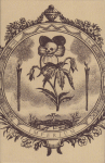 Box Cover