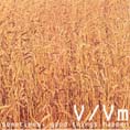 vvmtcd09.jpg