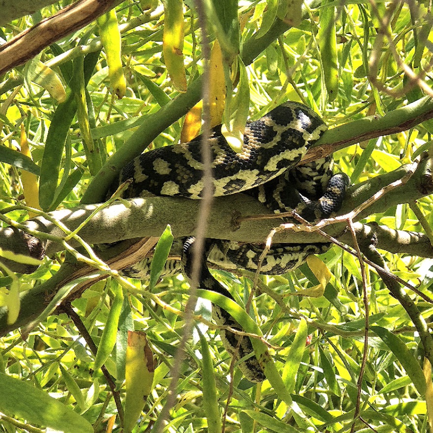 Episode 769: December 13, 2025 Episode 769: December 13, 2025