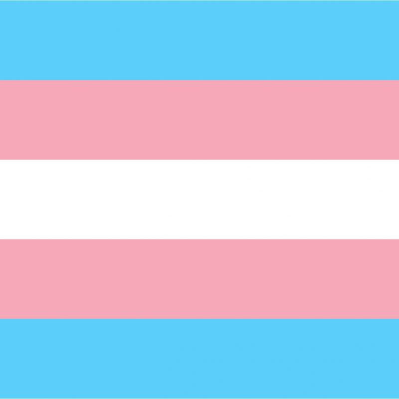 Episode 685: March 31, 2024 - Transgender Day of Visibility Special