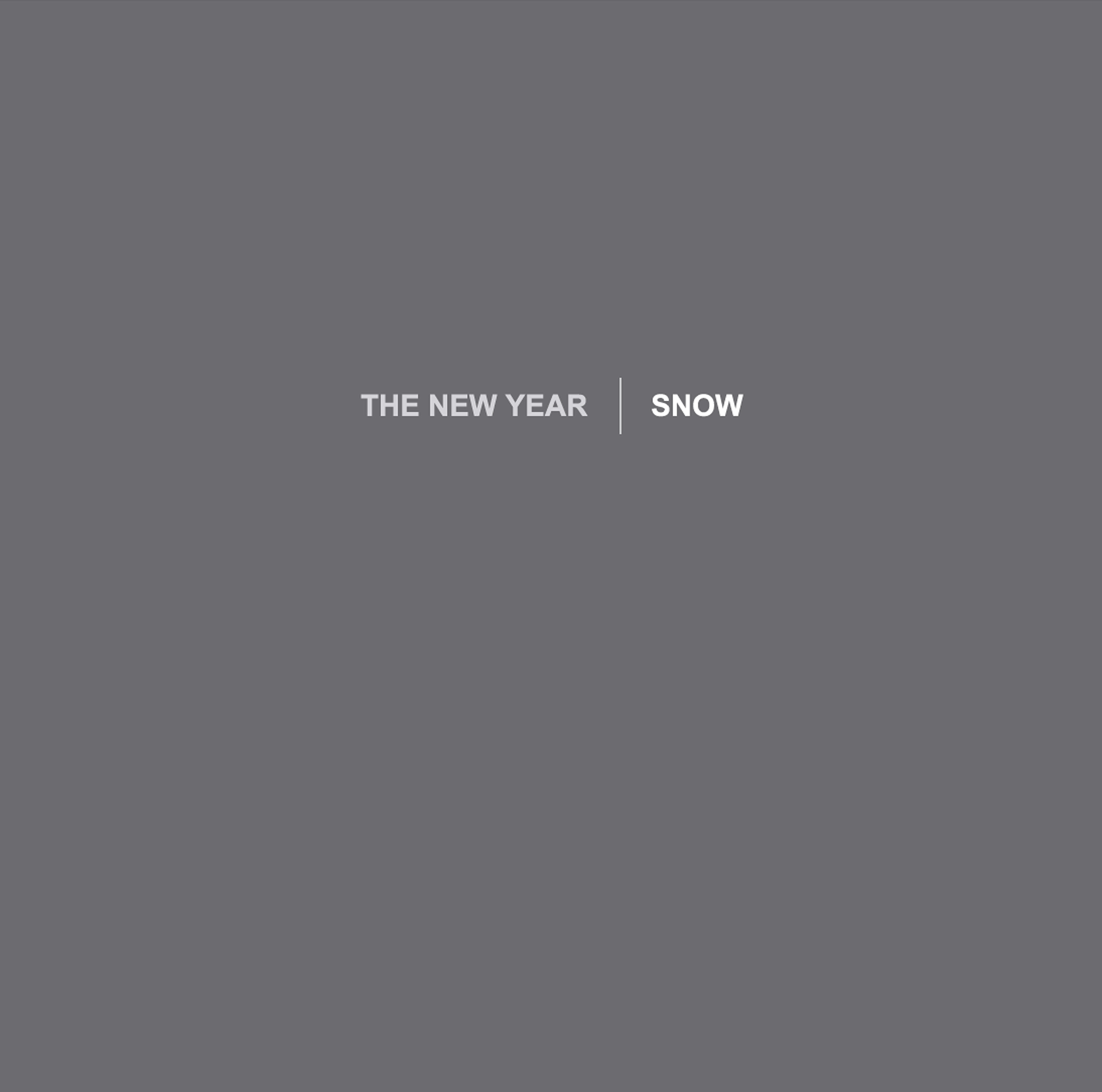 THE NEW YEAR SNOW