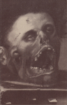 Slipcase Cover