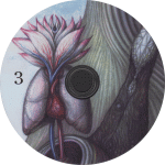 CD3