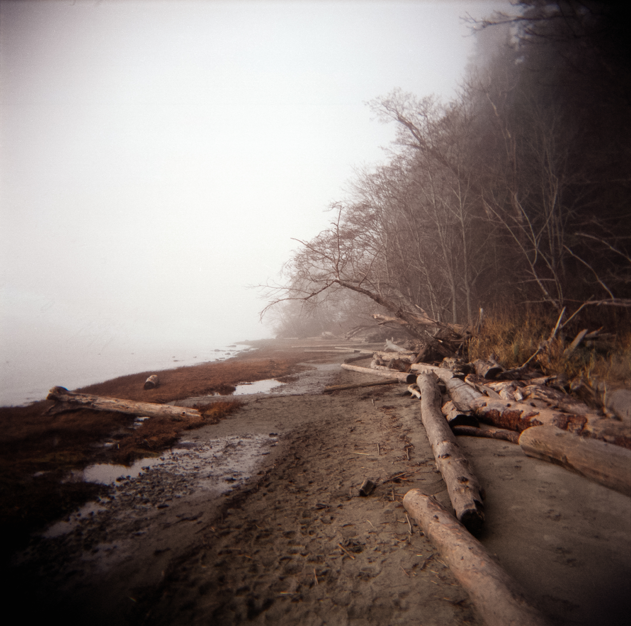Pacific Spirit Park in Vancouver, BC photo by John using a Holga