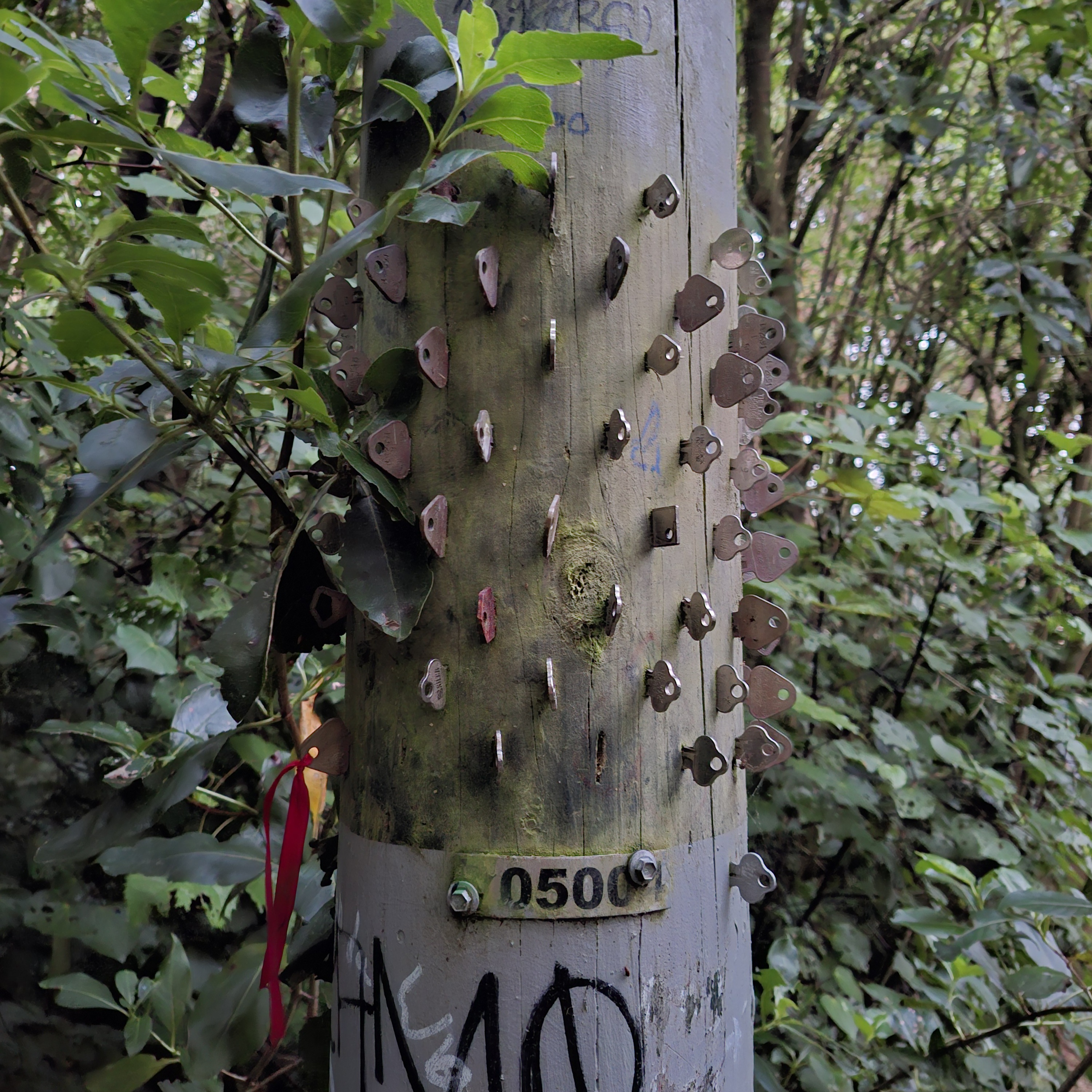 Pole with keys in Wellington New Zealand photo by Mike