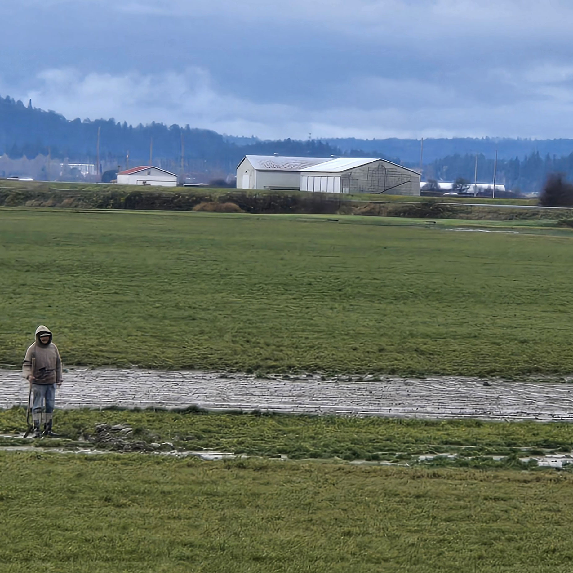 Photo outside Anacortes, Washington by Ryan